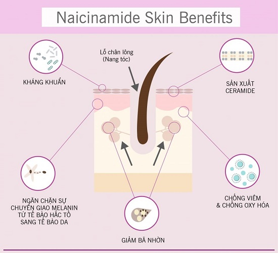 Niacinamide: Cứu Tinh Hay "Tội Đồ" Gây Mụn? Giải Mã Toàn Tập